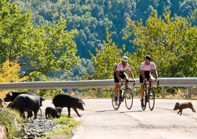 Sardegna Cycling